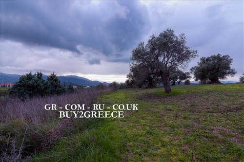 (For Sale) Land Plot wIthin Settlement || Evoia/Distos - 847 Sq.m, 32.000€ ||| ID :691865-8