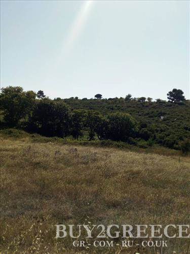 (For Sale) Land Plot || East Attica/Varnavas - 4.100 Sq.m, 120.000€ ||| ID :696008-4