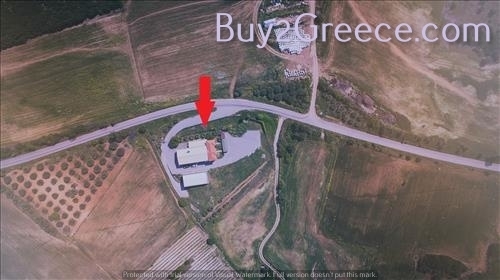 (For Sale) Land Other properties || Chalkidiki/Triglia - 10.000 Sq.m, 1.200.000€ ||| ID :722104