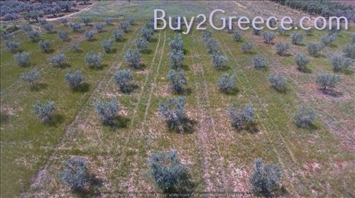 (For Sale) Land Other properties || Chalkidiki/Triglia - 10.000 Sq.m, 1.200.000€ ||| ID :722104-4