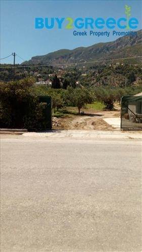 (For Sale) Land Plot for development || Korinthia/Xylokastro - 10.300 Sq.m, 800.000€ ||| ID :748869-4