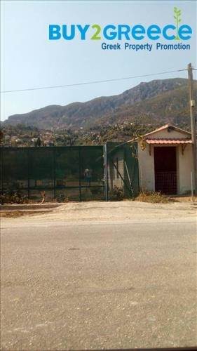 (For Sale) Land Plot for development || Korinthia/Xylokastro - 10.300 Sq.m, 800.000€ ||| ID :748869-5