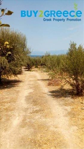 (For Sale) Land Plot for development || Korinthia/Xylokastro - 10.300 Sq.m, 800.000€ ||| ID :748869-6