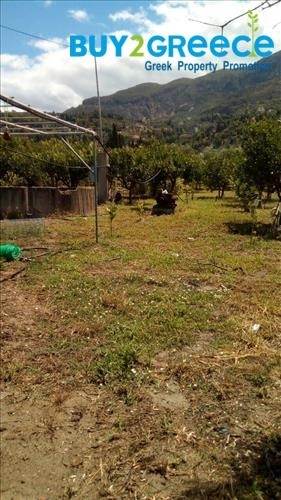 (For Sale) Land Plot for development || Korinthia/Xylokastro - 10.300 Sq.m, 800.000€ ||| ID :748869-8