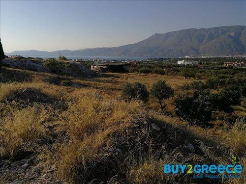 (For Sale) Land Large Land  || Korinthia/Korinthia - 10.000 Sq.m, 250.000€ ||| ID :750493-2