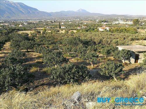 (For Sale) Land Large Land  || Korinthia/Korinthia - 10.000 Sq.m, 250.000€ ||| ID :750493-3