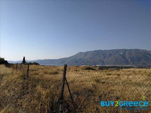 (For Sale) Land Large Land  || Korinthia/Korinthia - 10.000 Sq.m, 250.000€ ||| ID :750493-4