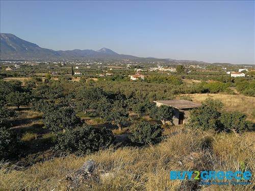 (For Sale) Land Large Land  || Korinthia/Korinthia - 10.000 Sq.m, 250.000€ ||| ID :750493-6