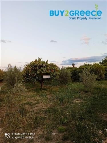 (For Sale) Land Plot out of Settlement || Korinthia/Velo - 1.235 Sq.m, 49.000€ ||| ID :752718-3