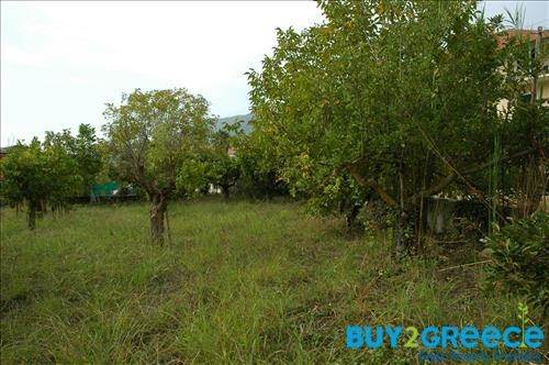 (For Sale) Land Plot || Lefkada/Apollonio - 2.000 Sq.m, 200.000€ ||| ID :758465-9