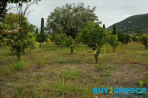 (For Sale) Land Plot || Lefkada/Apollonio - 2.000 Sq.m, 200.000€ ||| ID :758465-14