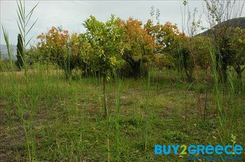 (For Sale) Land Plot || Lefkada/Apollonio - 2.000 Sq.m, 200.000€ ||| ID :758465-15