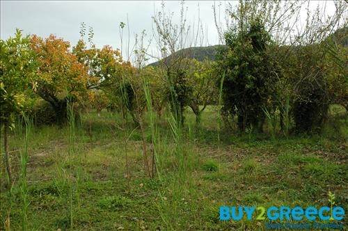 (For Sale) Land Plot || Lefkada/Apollonio - 2.000 Sq.m, 200.000€ ||| ID :758465-16