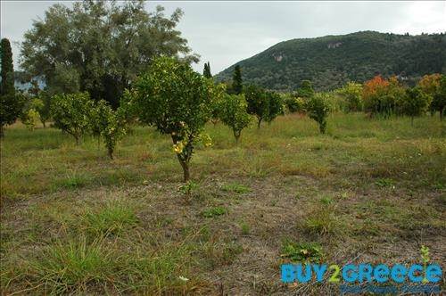 (For Sale) Land Plot || Lefkada/Apollonio - 2.000 Sq.m, 200.000€ ||| ID :758465-17