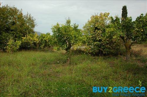 (For Sale) Land Plot || Lefkada/Apollonio - 2.000 Sq.m, 200.000€ ||| ID :758465-18