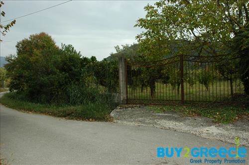 (For Sale) Land Plot || Lefkada/Apollonio - 2.000 Sq.m, 200.000€ ||| ID :758465