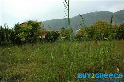 (For Sale) Land Plot || Lefkada/Apollonio - 2.000 Sq.m, 200.000€ ||| ID :758465-19