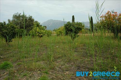 (For Sale) Land Plot || Lefkada/Apollonio - 2.000 Sq.m, 200.000€ ||| ID :758465-20