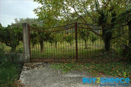 (For Sale) Land Plot || Lefkada/Apollonio - 2.000 Sq.m, 200.000€ ||| ID :758465-2