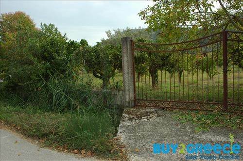 (For Sale) Land Plot || Lefkada/Apollonio - 2.000 Sq.m, 200.000€ ||| ID :758465-3