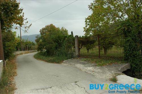 (For Sale) Land Plot || Lefkada/Apollonio - 2.000 Sq.m, 200.000€ ||| ID :758465-5