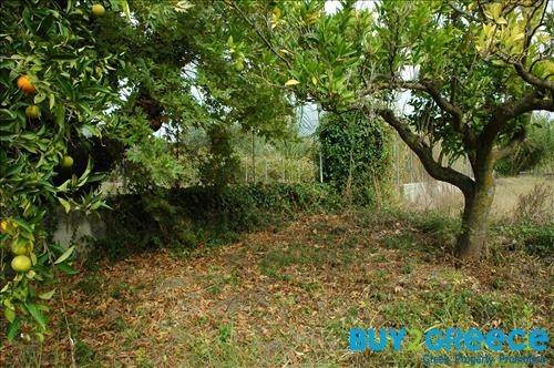 (For Sale) Land Plot || Lefkada/Apollonio - 2.000 Sq.m, 200.000€ ||| ID :758465-8