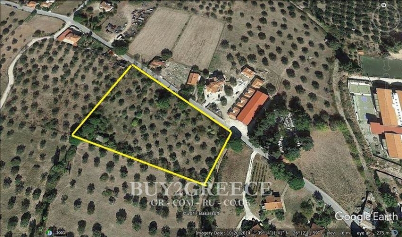 (For Sale) Land Plot || Lesvos/Kalloni - 9.000 Sq.m, 162.000€ ||| ID :768216