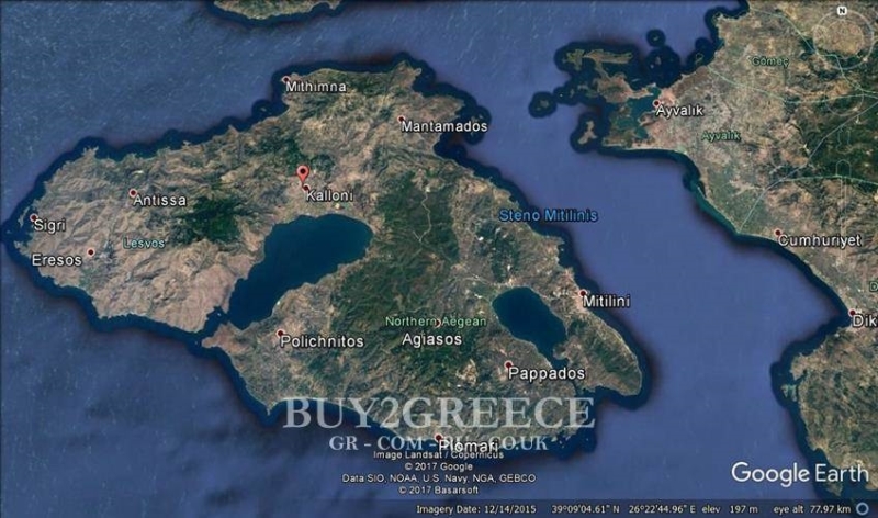 (For Sale) Land Plot || Lesvos/Kalloni - 9.000 Sq.m, 162.000€ ||| ID :768216-5