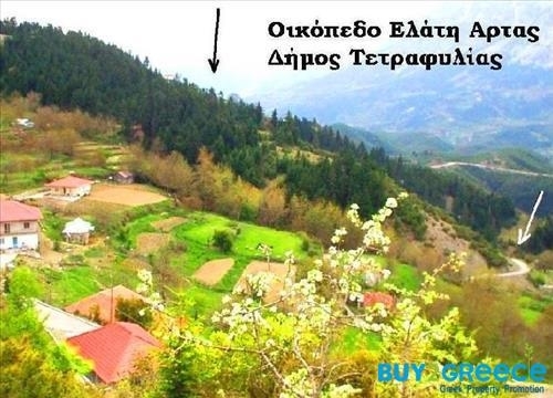 (For Sale) Land Plot || Arta/Georgios Karaiskakis - 4.802 Sq.m, 50.000€ ||| ID :773555-5