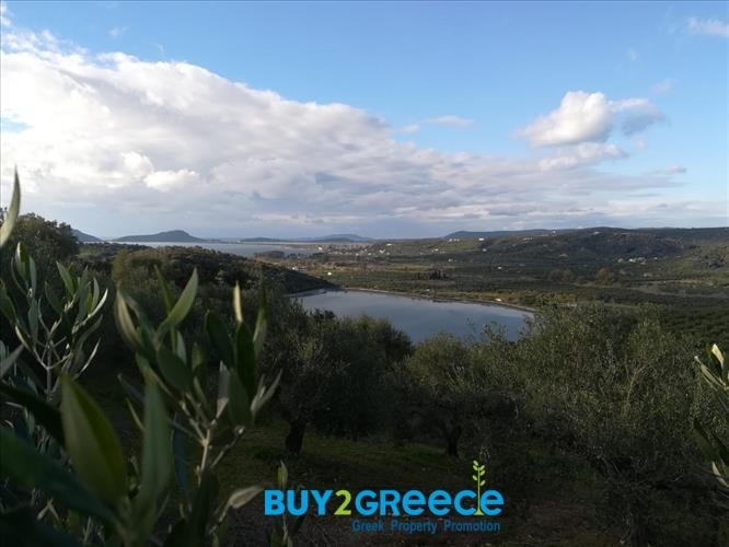 (For Sale) Land Agricultural Land  || Messinia/Pylos - 7.900 Sq.m, 300.000€ ||| ID :777571-2