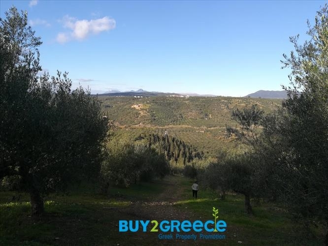 (For Sale) Land Agricultural Land  || Messinia/Pylos - 7.900 Sq.m, 300.000€ ||| ID :777571-3