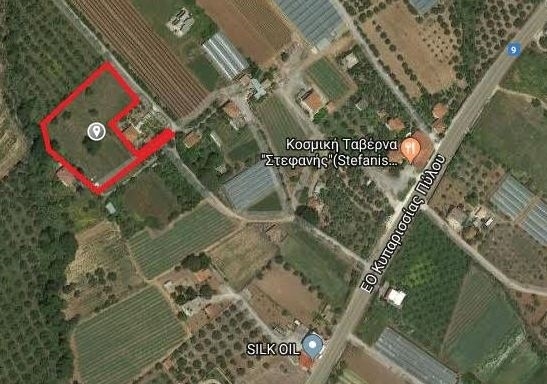 (For Sale) Land Agricultural Land  || Messinia/Kyparissia - 6.656 Sq.m, 120.000€ ||| ID :806317