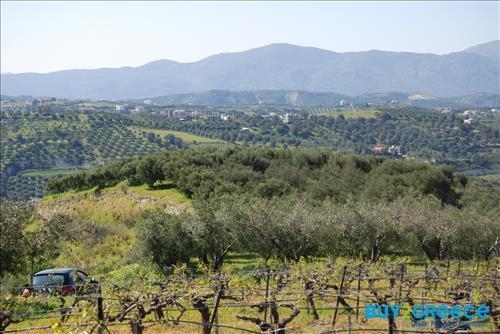 (For Sale) Land Agricultural Land  || Irakleio/Irakleio - 7.311 Sq.m, 250.000€ ||| ID :814661-13