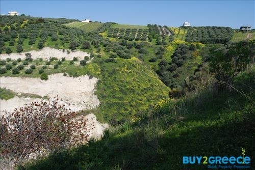 (For Sale) Land Agricultural Land  || Irakleio/Irakleio - 7.311 Sq.m, 250.000€ ||| ID :814661-5