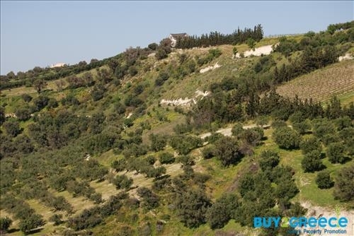 (For Sale) Land Agricultural Land  || Irakleio/Irakleio - 7.311 Sq.m, 250.000€ ||| ID :814661-6