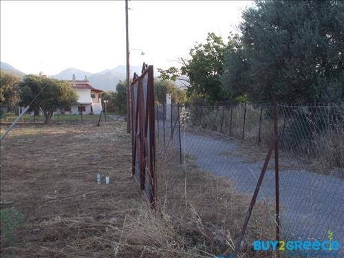 (For Sale) Land Plot || Achaia/Aigio - 19.273 Sq.m, 300.000€ ||| ID :817847-10