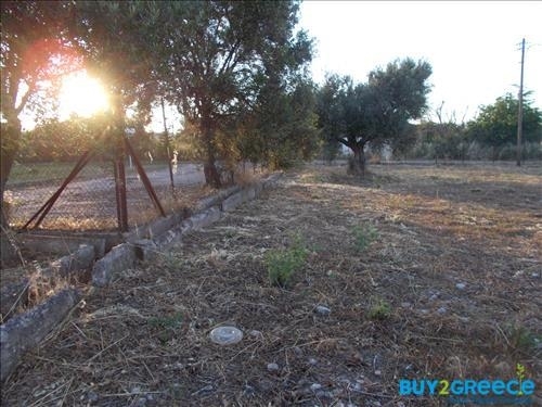 (For Sale) Land Plot || Achaia/Aigio - 19.273 Sq.m, 300.000€ ||| ID :817847-12