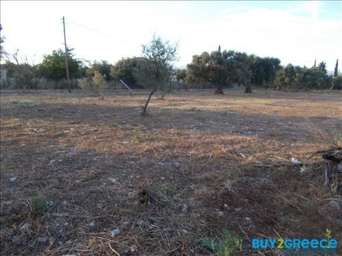 (For Sale) Land Plot || Achaia/Aigio - 19.273 Sq.m, 300.000€ ||| ID :817847-13