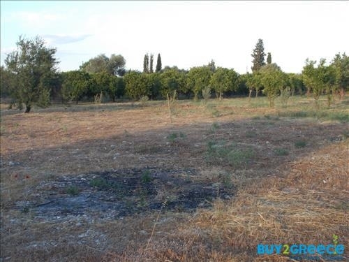 (For Sale) Land Plot || Achaia/Aigio - 19.273 Sq.m, 300.000€ ||| ID :817847-14