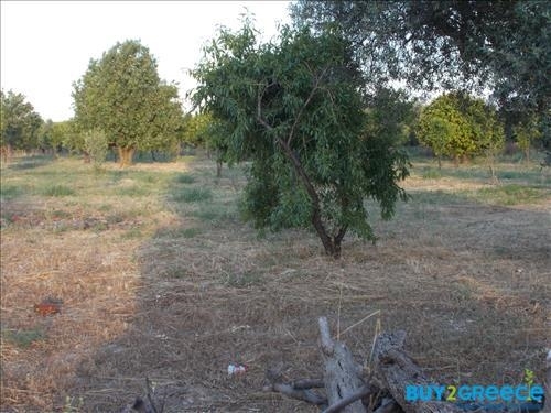 (For Sale) Land Plot || Achaia/Aigio - 19.273 Sq.m, 300.000€ ||| ID :817847-15