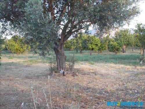 (For Sale) Land Plot || Achaia/Aigio - 19.273 Sq.m, 300.000€ ||| ID :817847-16