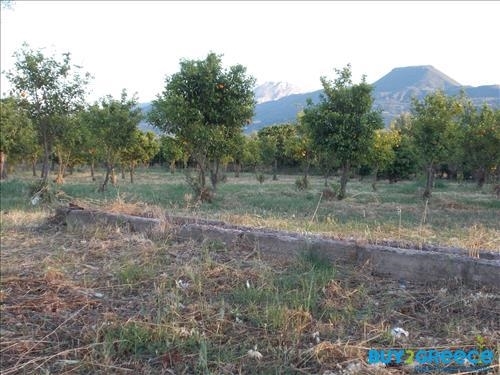 (For Sale) Land Plot || Achaia/Aigio - 19.273 Sq.m, 300.000€ ||| ID :817847-17