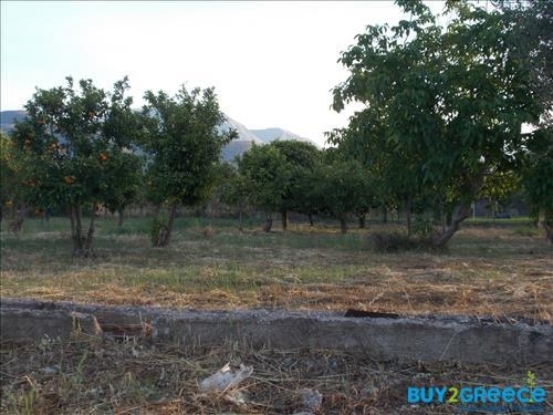 (For Sale) Land Plot || Achaia/Aigio - 19.273 Sq.m, 300.000€ ||| ID :817847-18