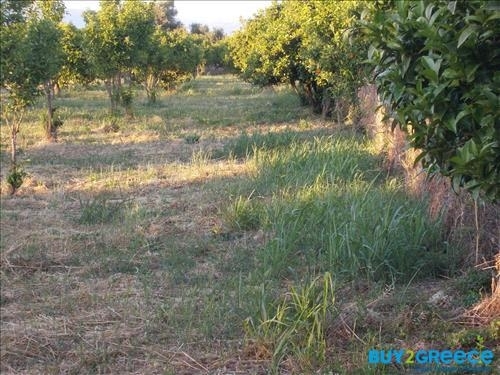 (For Sale) Land Plot || Achaia/Aigio - 19.273 Sq.m, 300.000€ ||| ID :817847-19