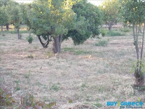 (For Sale) Land Plot || Achaia/Aigio - 19.273 Sq.m, 300.000€ ||| ID :817847-20