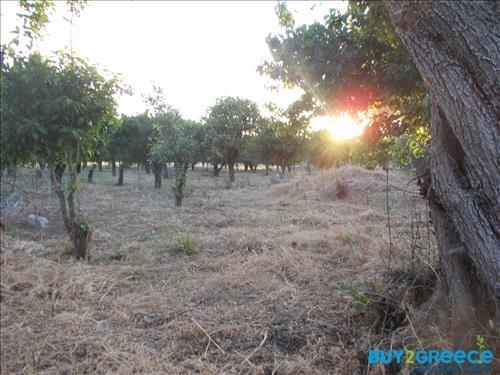 (For Sale) Land Plot || Achaia/Aigio - 19.273 Sq.m, 300.000€ ||| ID :817847-21