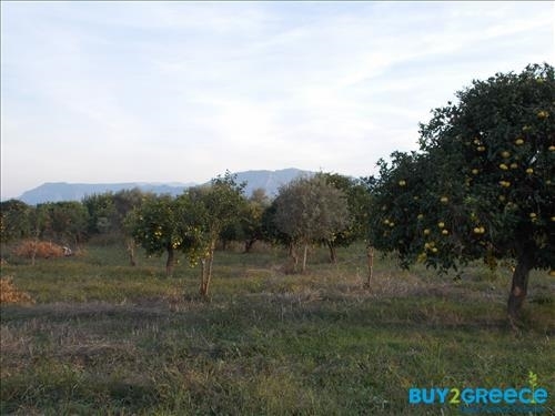 (For Sale) Land Plot || Achaia/Aigio - 19.273 Sq.m, 300.000€ ||| ID :817847-2