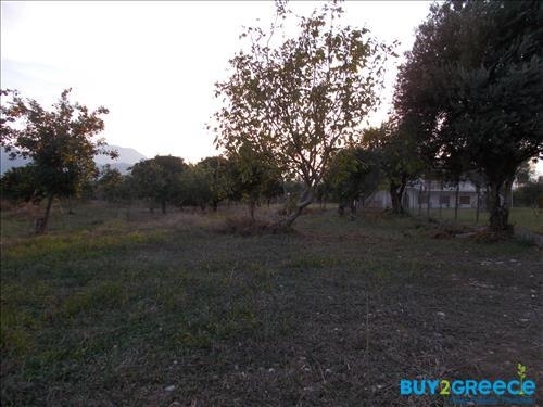 (For Sale) Land Plot || Achaia/Aigio - 19.273 Sq.m, 300.000€ ||| ID :817847-4