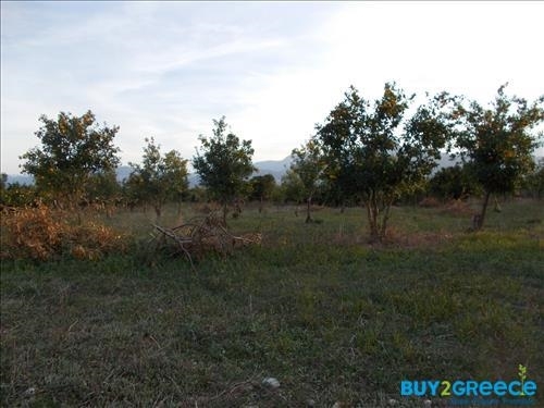 (For Sale) Land Plot || Achaia/Aigio - 19.273 Sq.m, 300.000€ ||| ID :817847-5