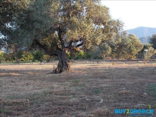 (For Sale) Land Plot || Achaia/Aigio - 19.273 Sq.m, 300.000€ ||| ID :817847-7